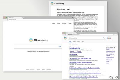 Cleanserp.net ウィルスのイメージ