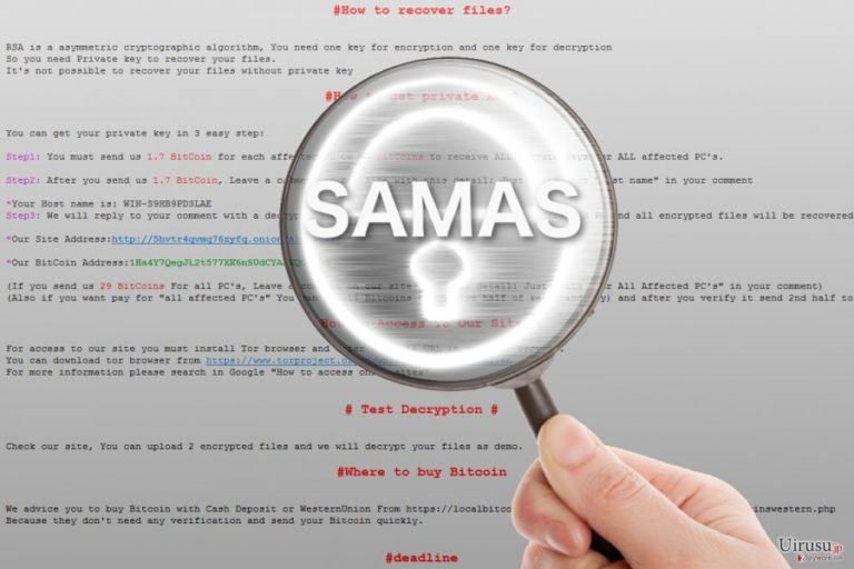 拡大鏡で見る Samas ランサムウェア